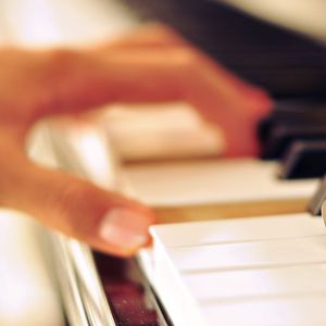 日韩无码一二三区
