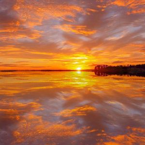 日韩无码一二三区
